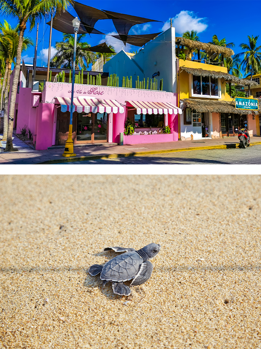 840x1120_pair1_space_01