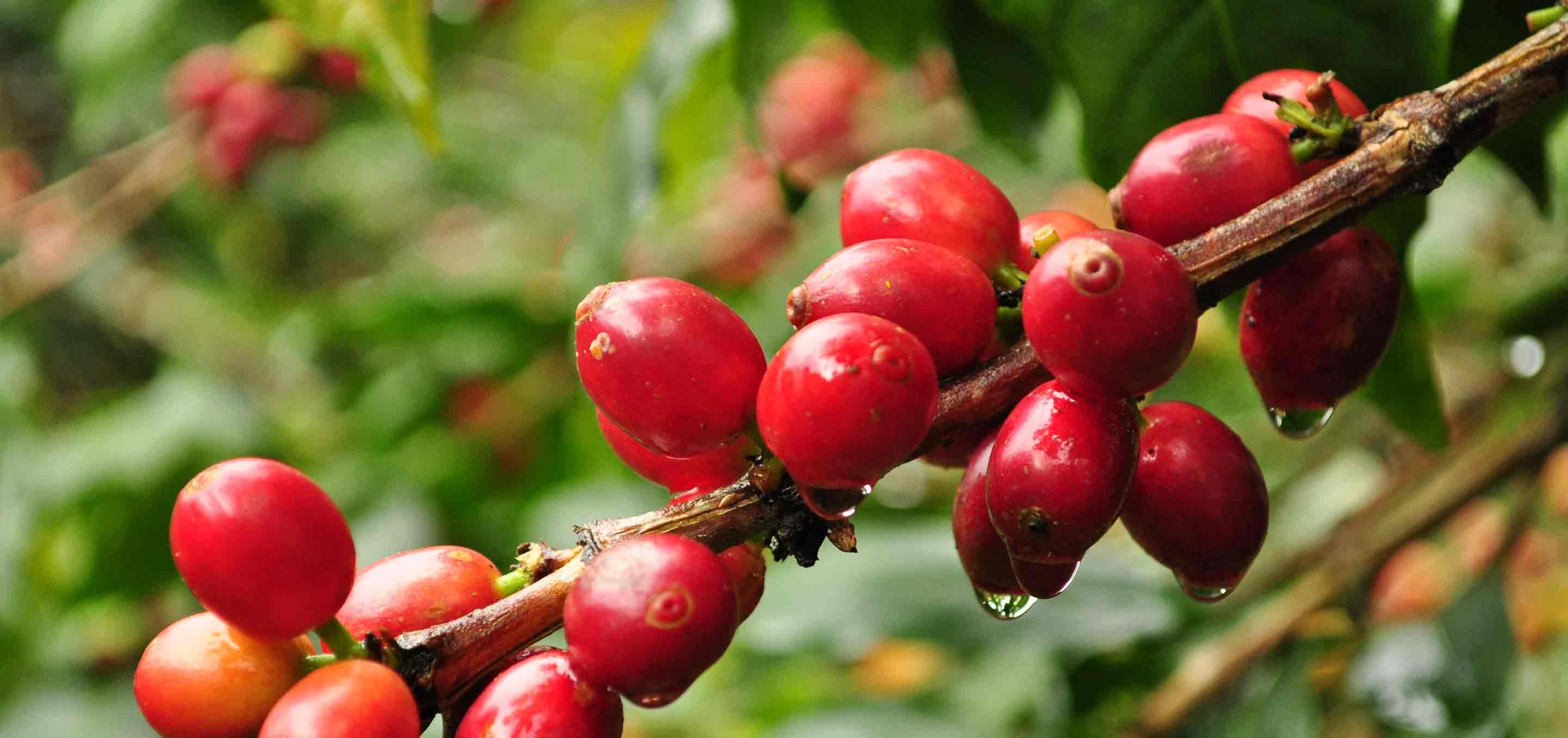 Materiality Assessment- What Really Matters