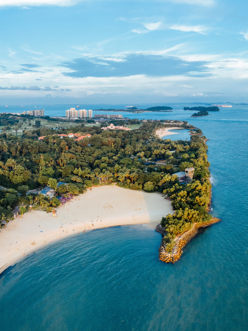 Untitled-design-(23)