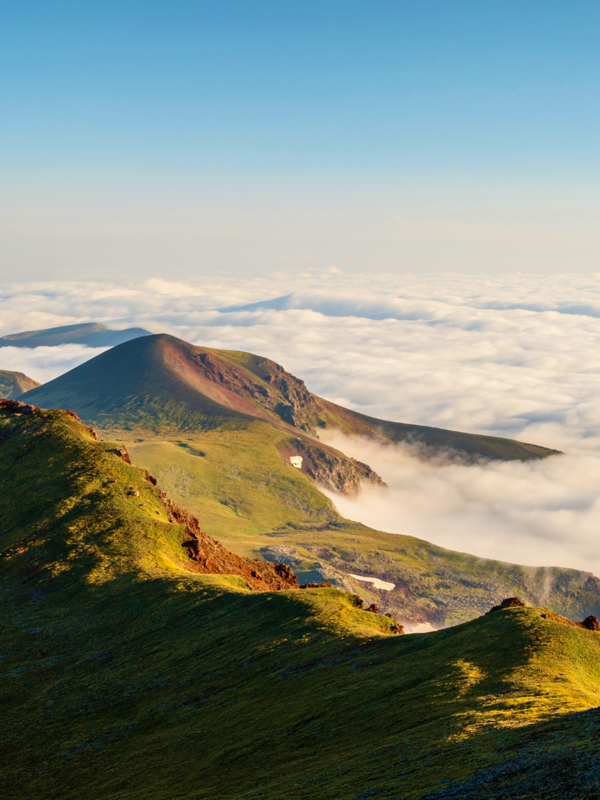 Untitled-design-(28)