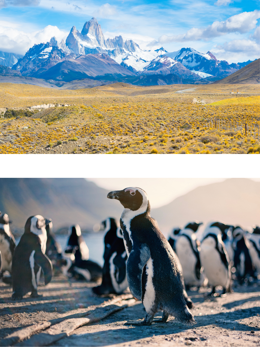 Courtesy-of-Design-Hotels-(2)