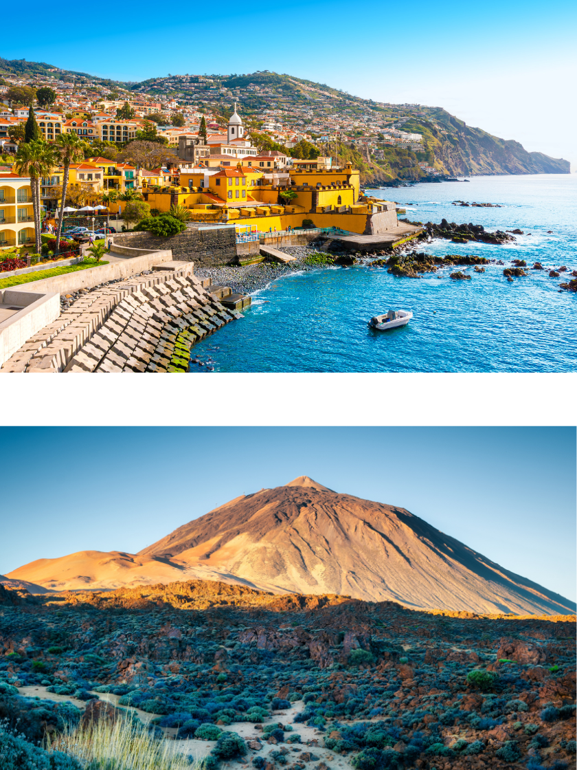 Untitled-design-(17)