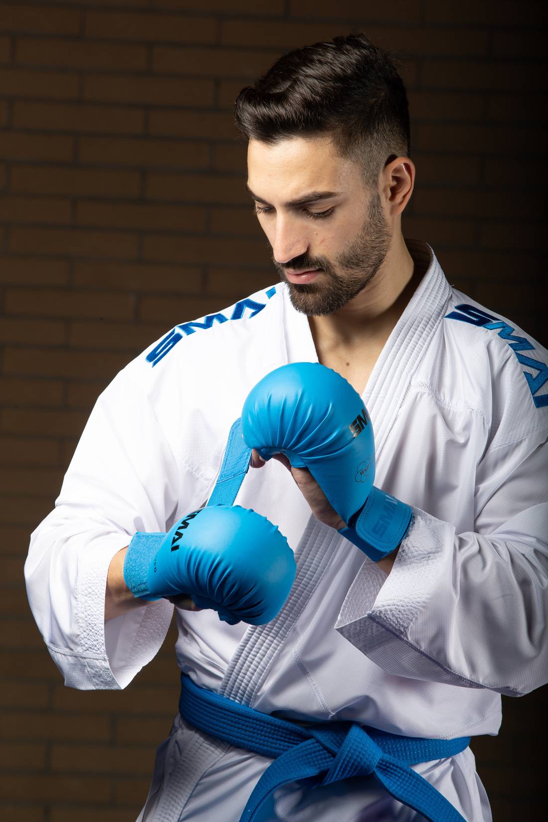 Karate Gloves - WKF Approved