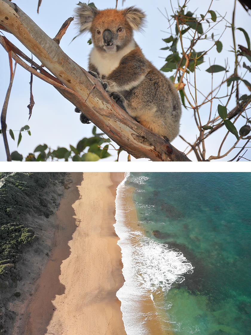 b_melbourne_840x1120