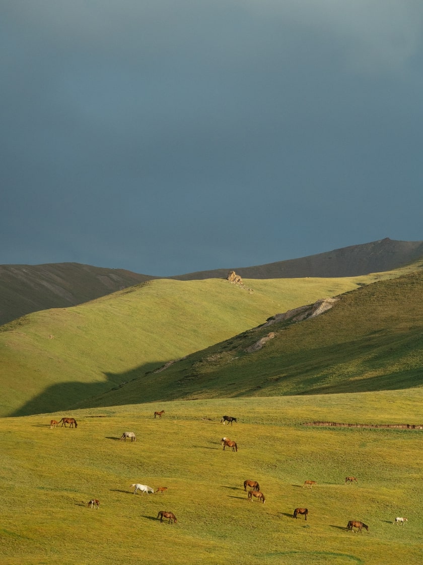 GT-Central-Asia-Journal-(7)