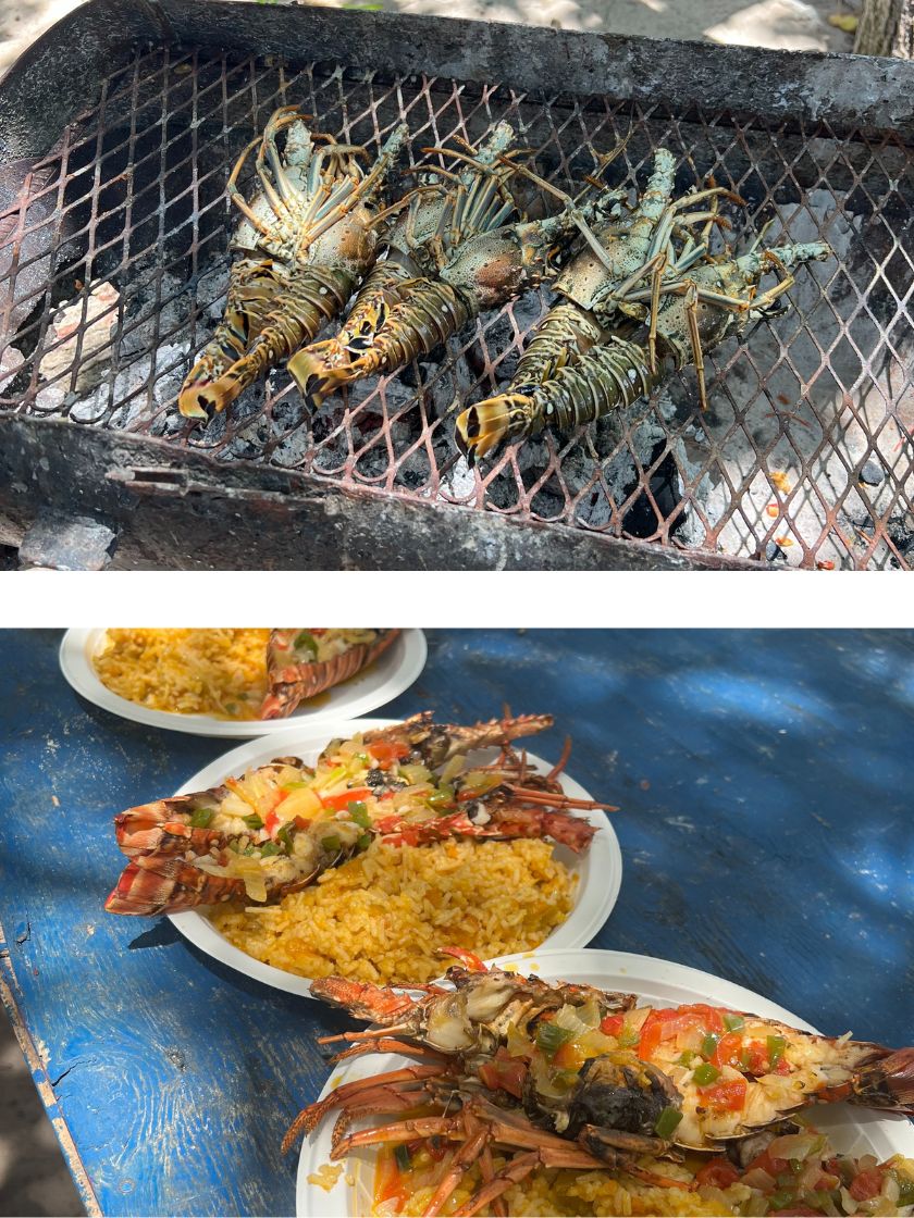 Postcards_from_JA_840x1120-(6)