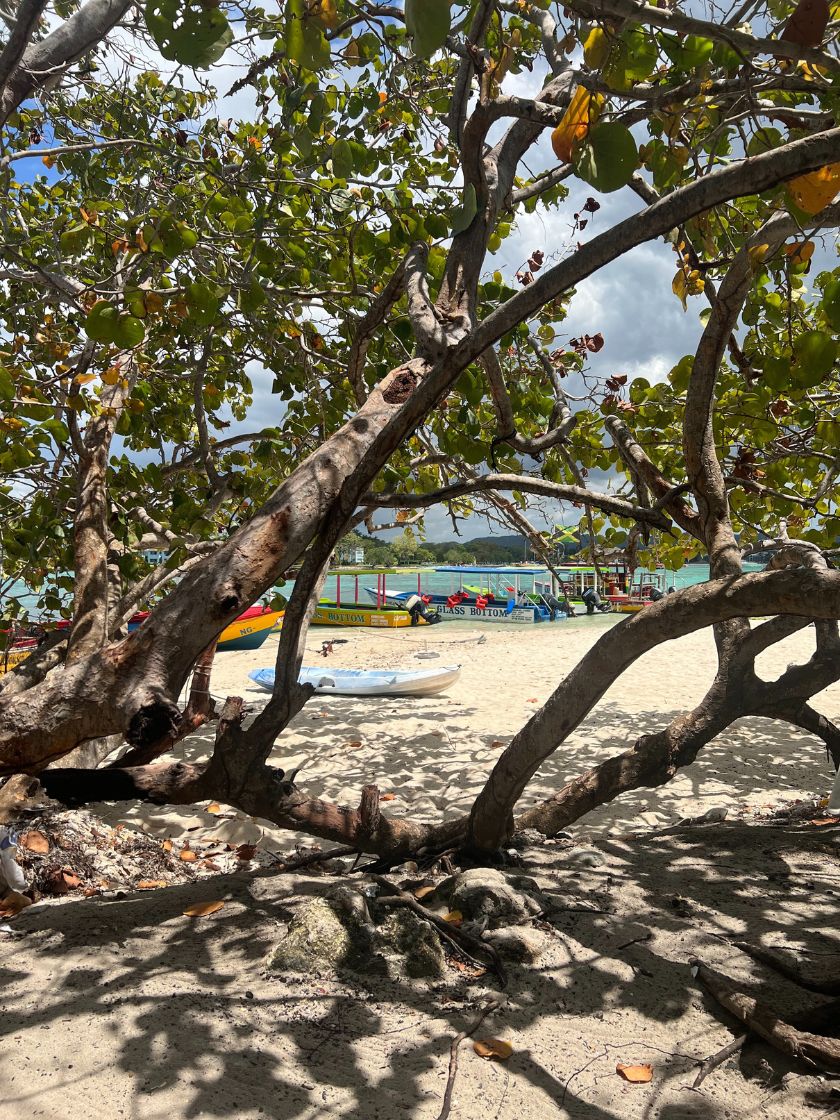 Postcards_from_JA_840x1120-(7)