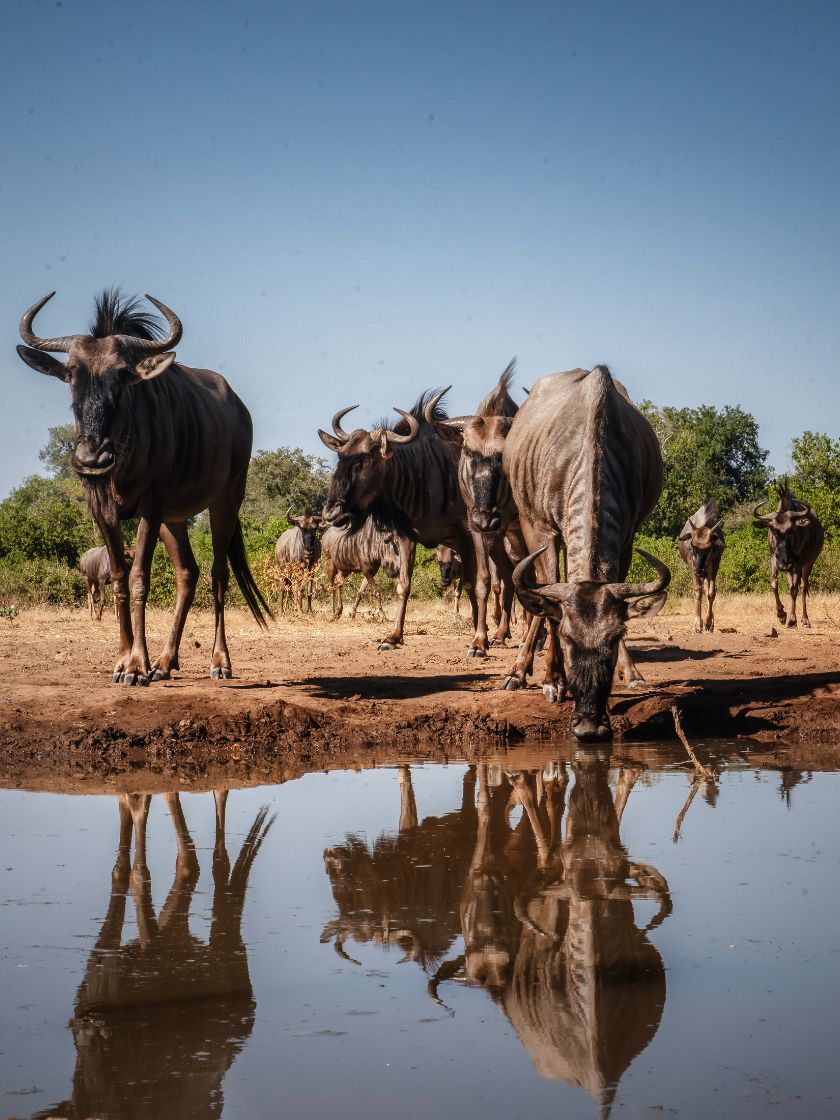 Journal_AnotherView_840x1120-(7)