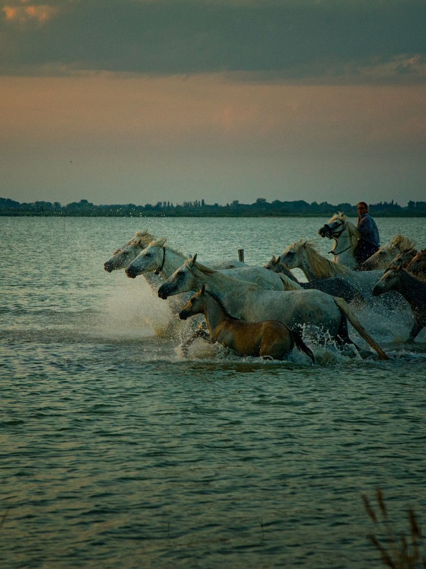 Journal_AnotherView_840x1120-(6)