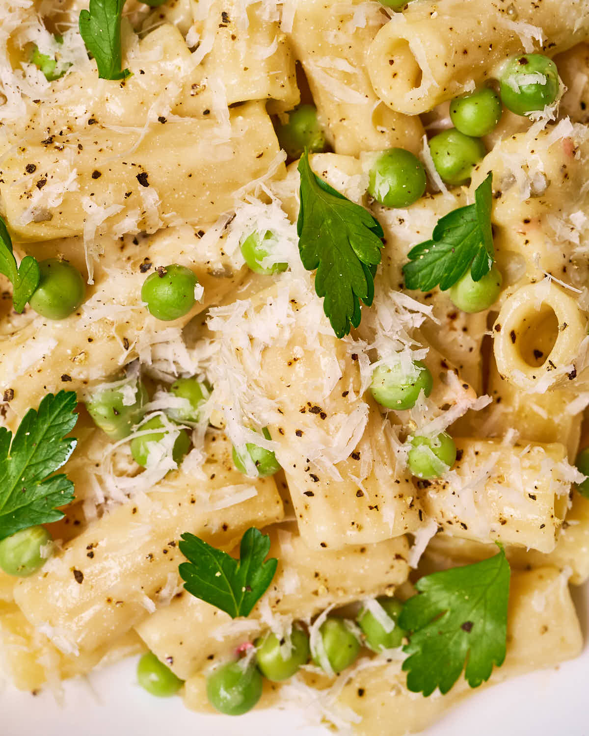 Cilantro & lime rigatone with english peas made with Sonoma Gourmet's cilantro lime pasta sauce and proof 100 california extra virgin olive oil