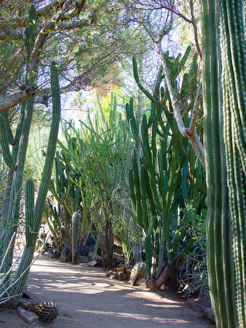 Globe-Trotter-Journal-Blog-Palm-Springs-008