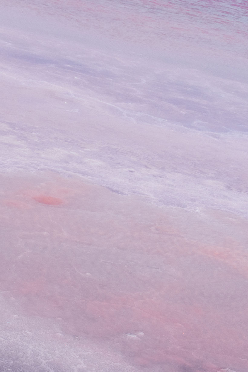 13_GT_MF_Pink_Camargue_2025_%C2%A9