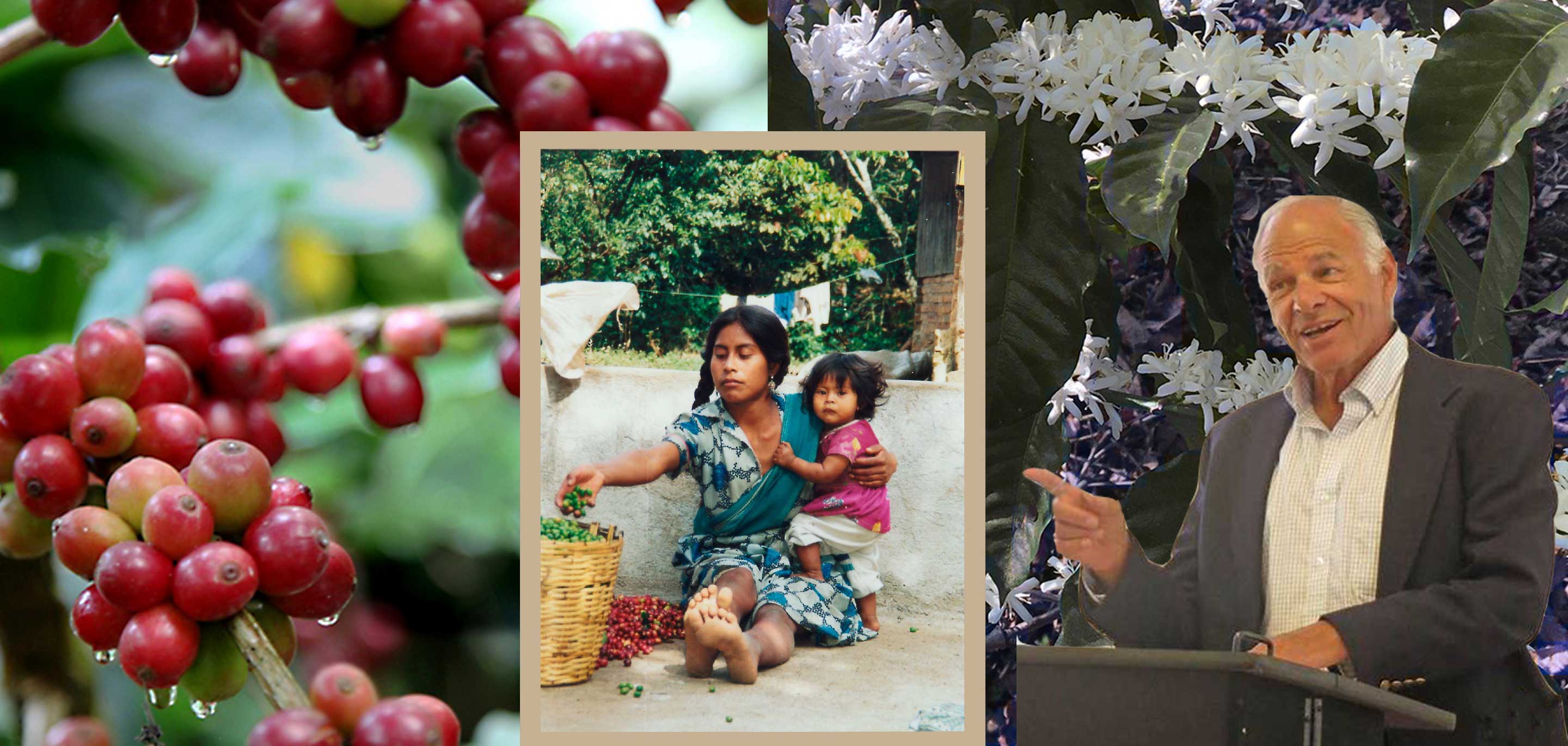 A Just Cup: The Story Behind the First Environmental Committee in Specialty Coffee