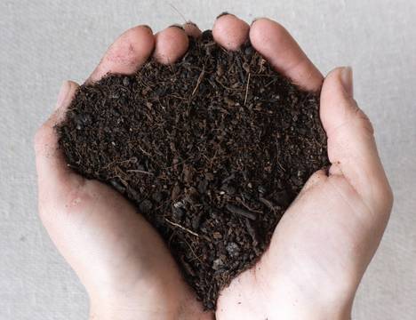Leaf Envy Organic Potting Mix