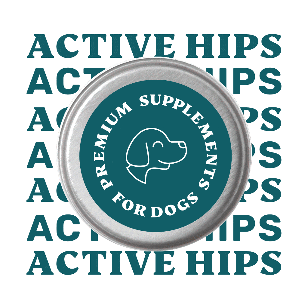 Active Hips