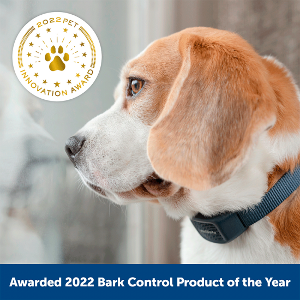 Best bark sales collar for beagle