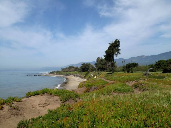 Blue sky with whispy white clouds, coastal grasses, a bluff with coastline view, and mountains in the distance