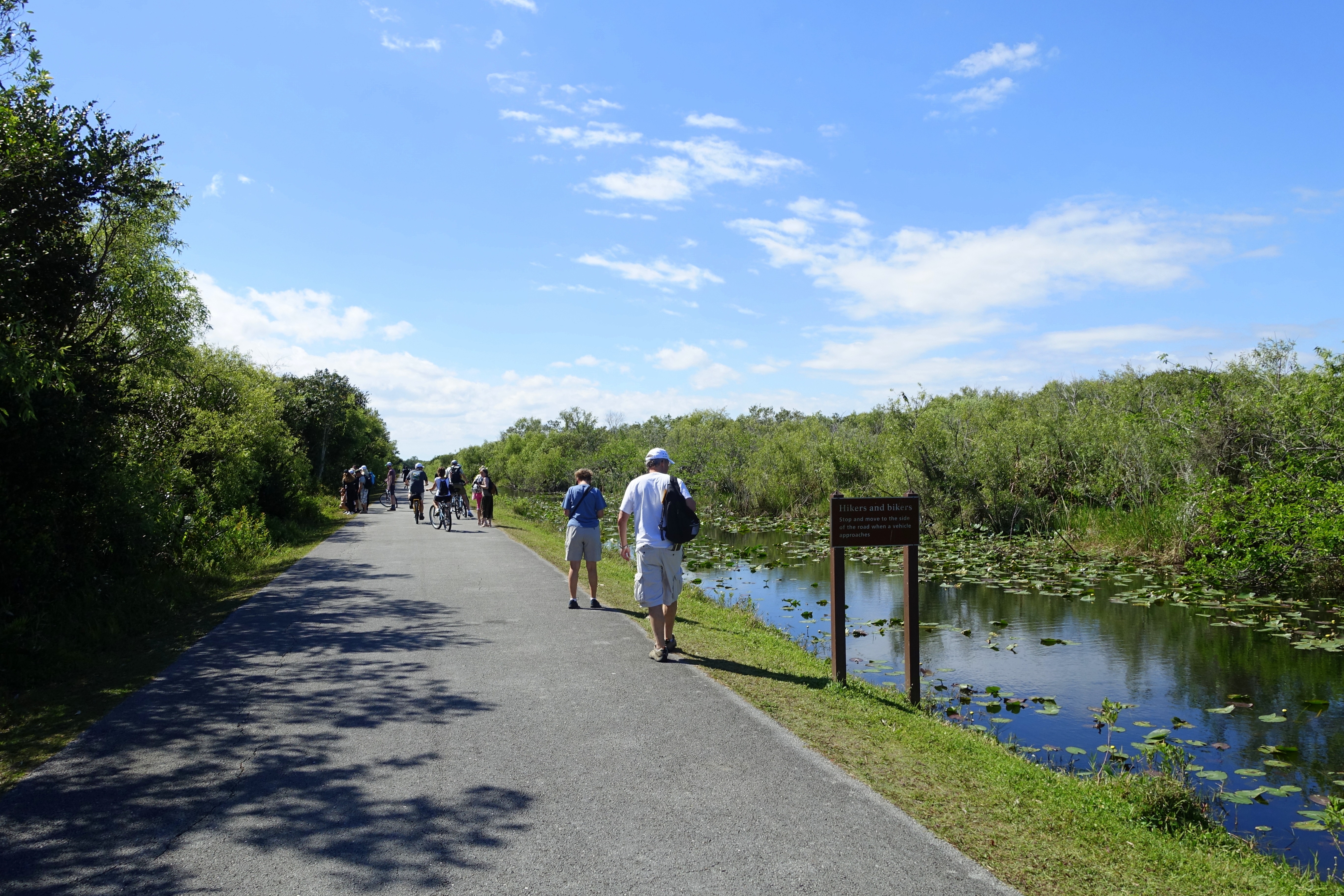 A wide paved e-bike path with pedestrians and bicyclists next to a marsh, lily pads, bushes, and trees below a bright blue sky