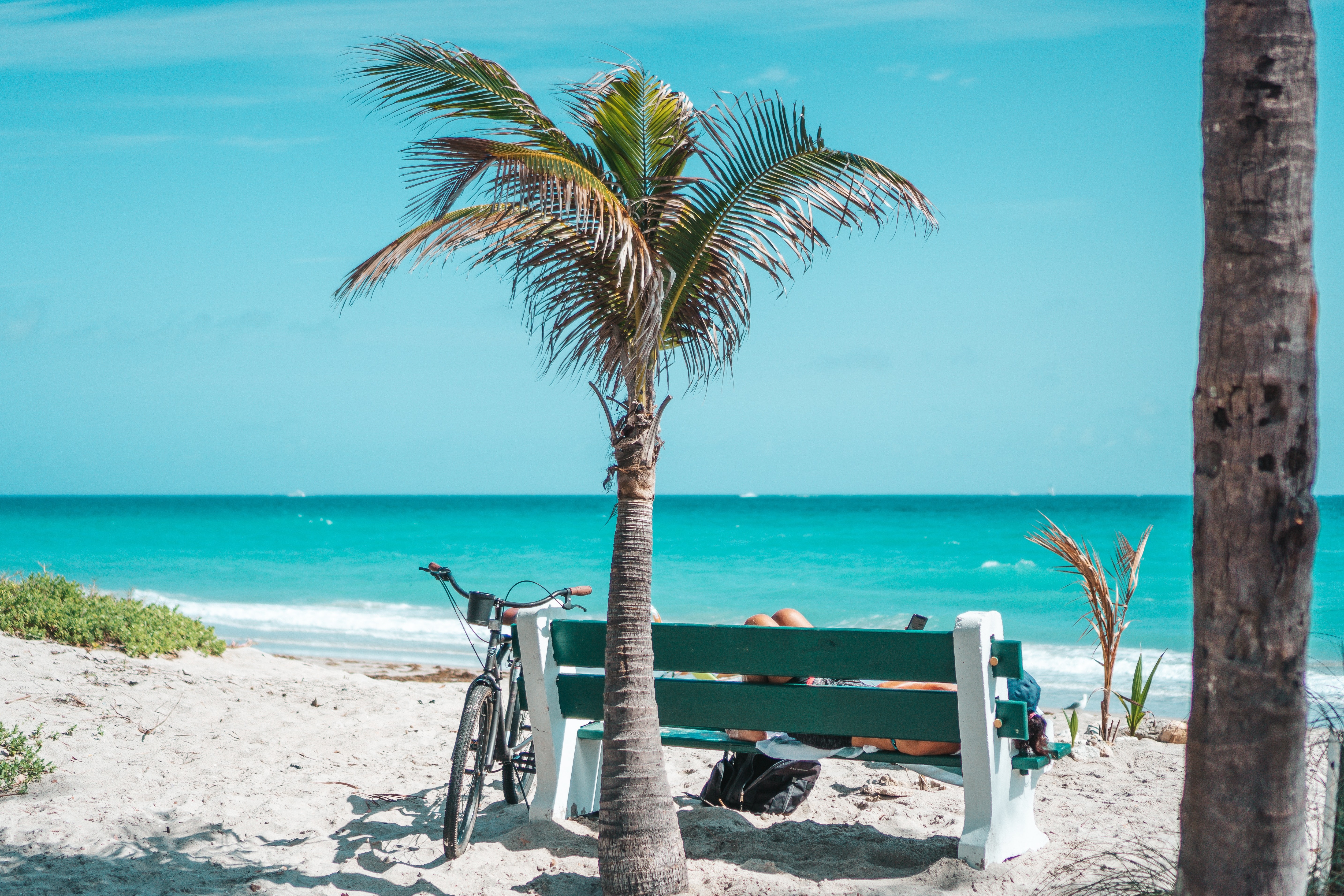 Turquoise water and bright sand with a bench, small palm tree, and e-bike on a Florida beach