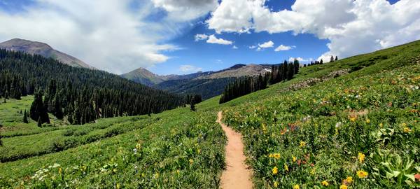 Green hills dotted with wildflowers; a dirt path goes off into the distance toward trees, mountains, and a blue sky with big white clouds