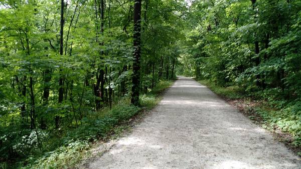 A flat and wide multiuse path runs through lush green bushes and trees, creating a canopy over the e-bike path on Kal-Haven Trail in Michigan