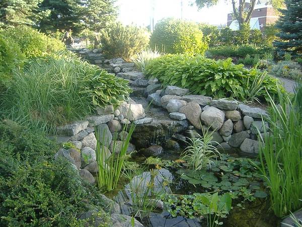 Water feature with lily pads and lots of greenery surrounding a rock-lined pond near a popular e-bike trail in Michigan