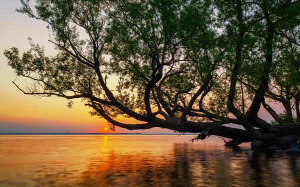 In Madison? Swing by Tenney Park to catch a beautiful sunset over Lake Mendota!