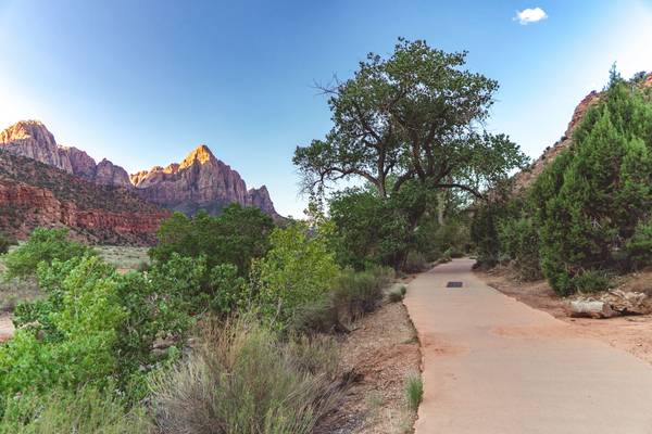 Paved clay or dirt e-bike path through green bushes and trees dotting the orange and red landscape of Zion National Park