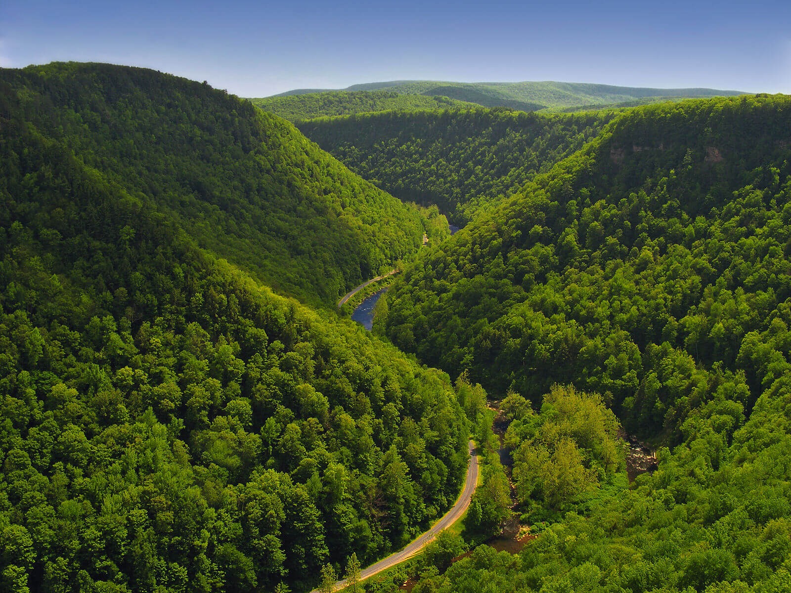 Rolling hills covered in emerald green trees surround an e-bike trail and river along the Pine Creek Trail in Pennsylvania