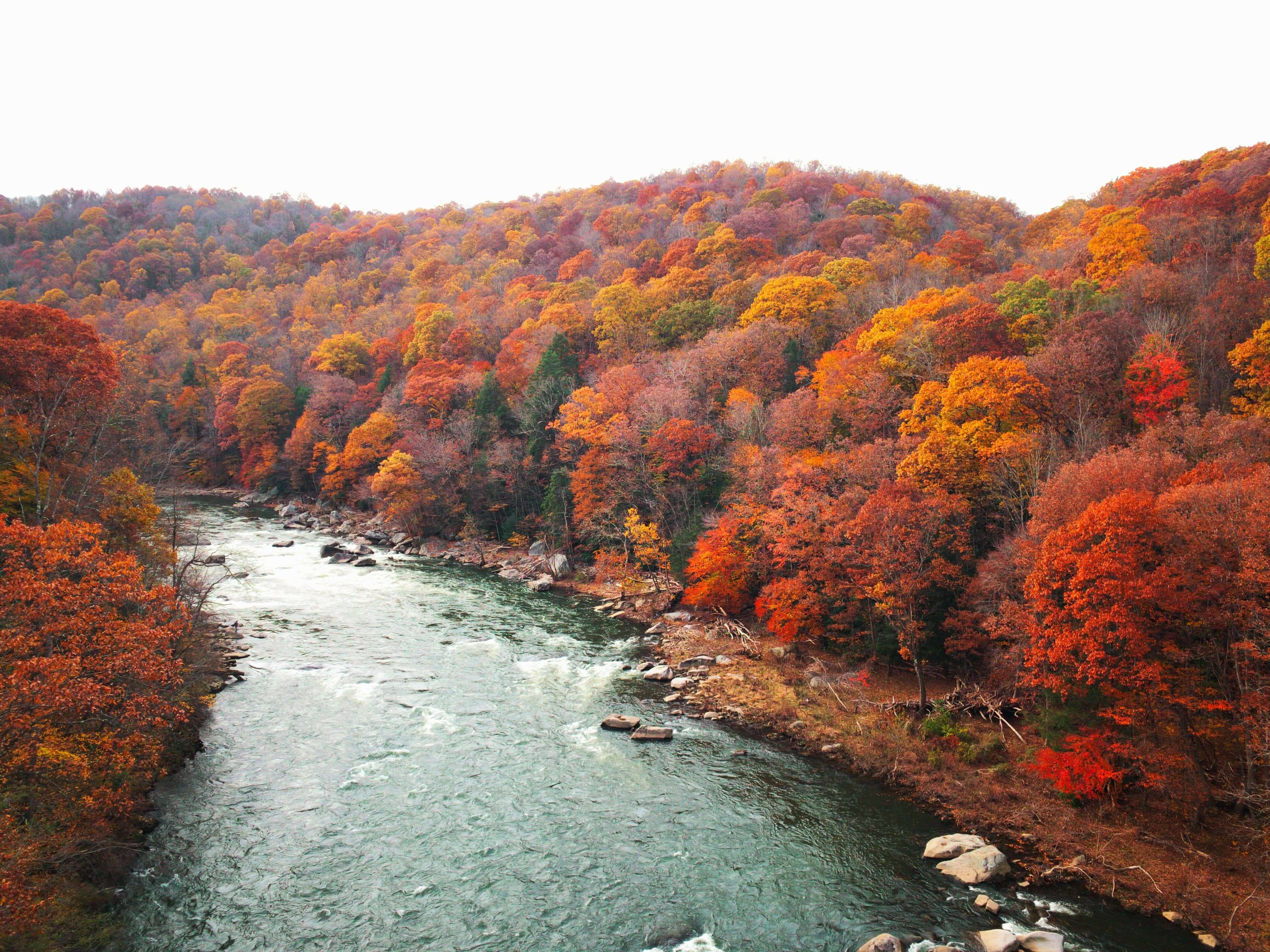 Lush red, orange, and yellow fall foliage covers the hills surrounding a powerful river along the Great Allegheny Passage e-bike trail