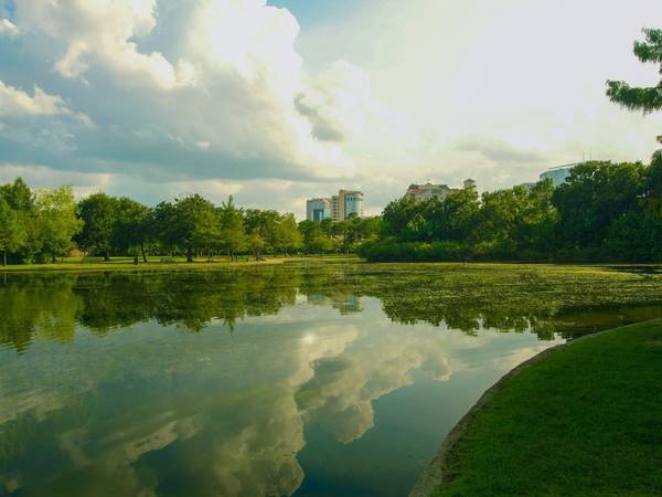 A yellow-green tinge colors this lake photo reflecting a bright cloudy sky at Hermann Park in Houston, Texas