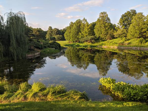 A sunny day with a highly reflective lake surrounded by green trees and grassy landscapes at Chicago Botanic Garden