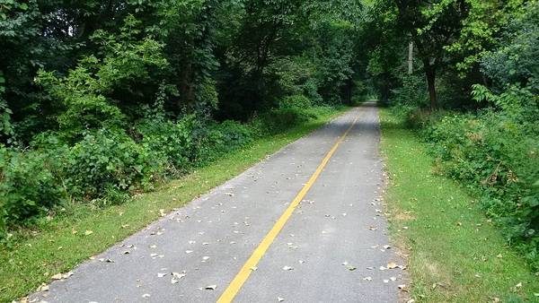A lush green section of the Major Taylor e-bike trail in Chicago, with the paved path running down the center of the image and a yellow painted stripe dividing the path into 2 directions