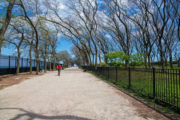 A bicyclist approaches on an unpaved e-bike path lined with bare trees in Milton Lee Olive Park, Chicago on a sunny day