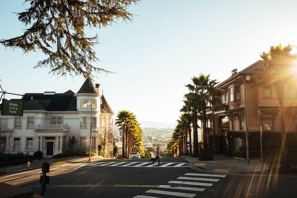 Sun rays obscure the right side of this golden-hour photo, looking across a street and down a hill in San Francisco. Palm trees line the hill.