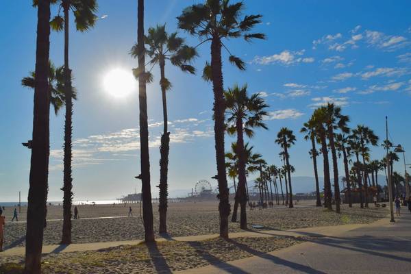 The sun shines between palm trees in a view of the Santa Monica Beach e-bike path with the pier and ferris wheel by the ocean in the background