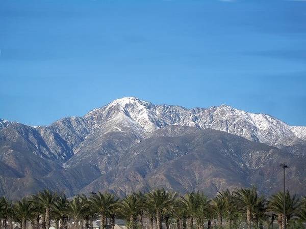 Blue sky and snow-capped mountain peaks with palm trees at the bottom of the frame in Rancho Cucamonga