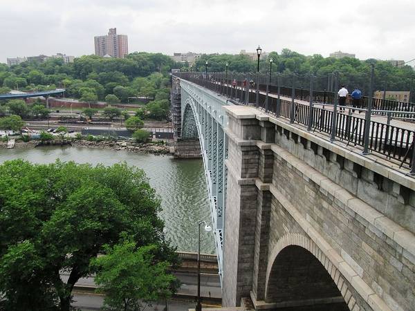 High Bridge crosses the Harlem River on a cloudy day in NYC, and a green tree brightens the scene