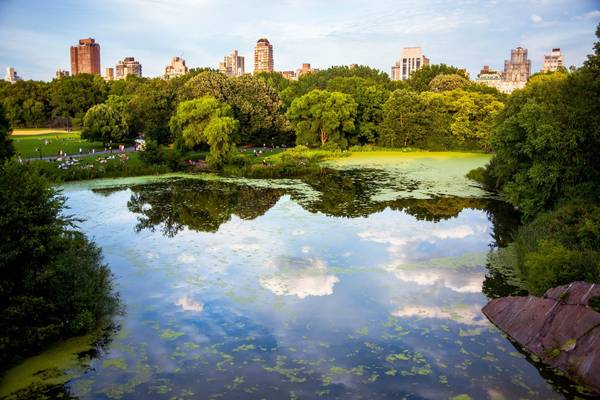 Green trees surround a reflective pond in Central Park; visitors lounge on the grass and brown buildings can be seen in the distance
