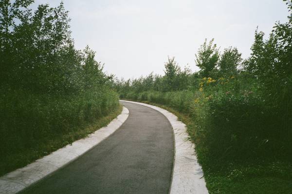 a paved e-bike path surrounded by green bushes curves around a bend on Governors Island in NYC

