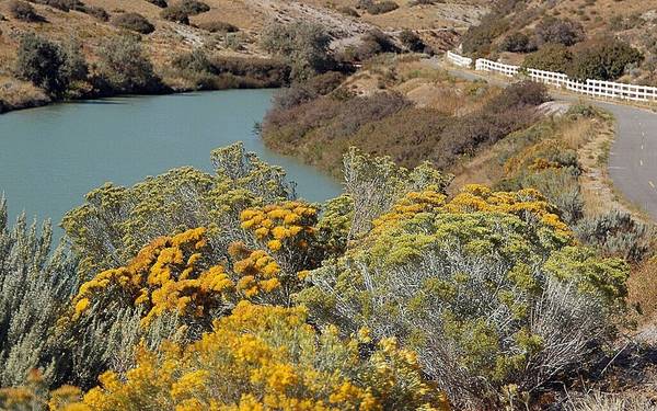 Dry brush and muted green and yellow flowers line the banks of the Jordan River along a paved two-way section of the Jordan River Parkway Trail