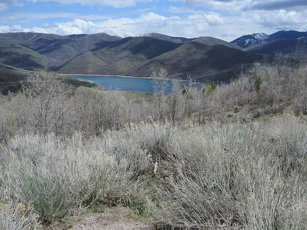 Dry brush in the foreground gives way to a dell reservoir and mountains in the Emigration Canyon area outside of Salt Lake City