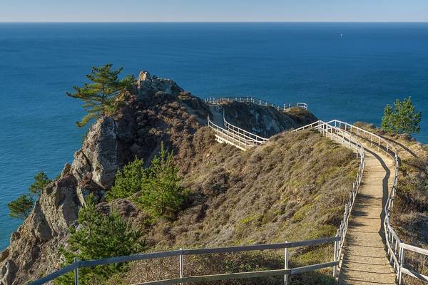 A dirt path with guardrails leads to an overlook on a cliff at Muir Beach in Golden Gate National Recreation Area
