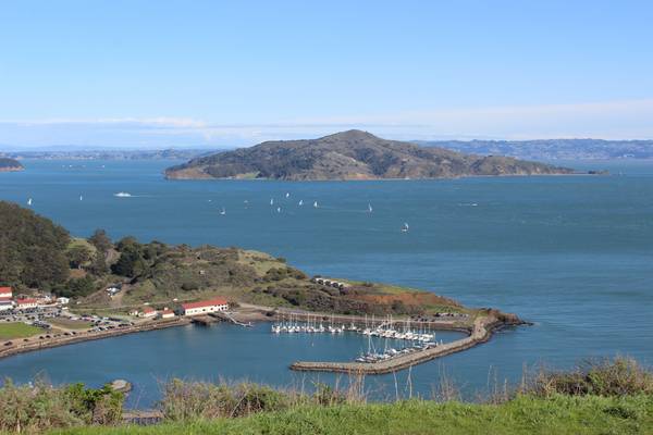Sunny day overlooking a marina with sailboats and Treasure Island from a vantage point near the Golden Gate Bridge in the Bay Area
