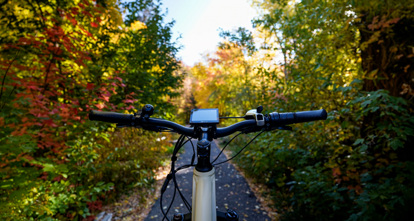 View of the handlebars and display of a Magnum Scout e-bike, with bright sunlit leaves and an e-bike path out of focus in the background