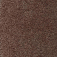 Kalahari
