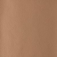 Buckskin