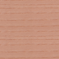 Natural Coral