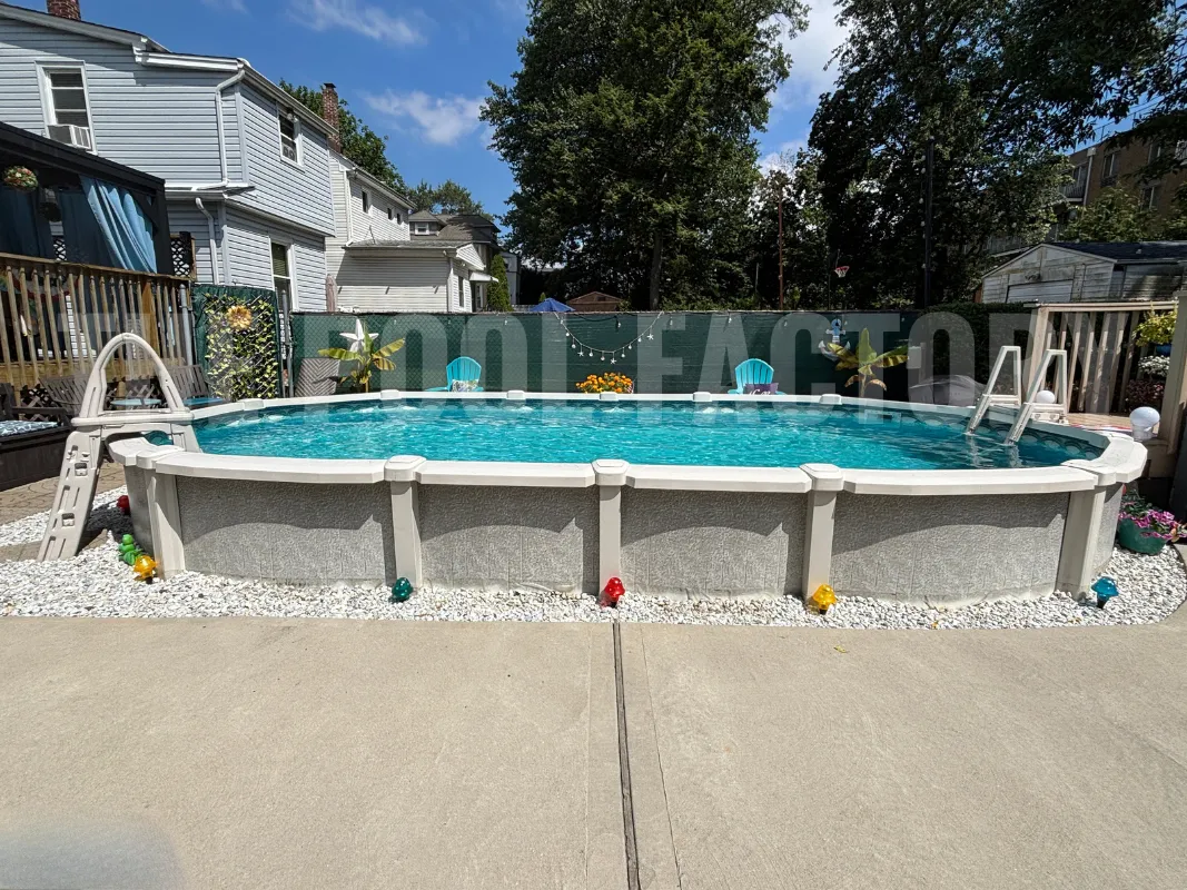 Backyard oval saltwater pool with concrete patio and two ladders