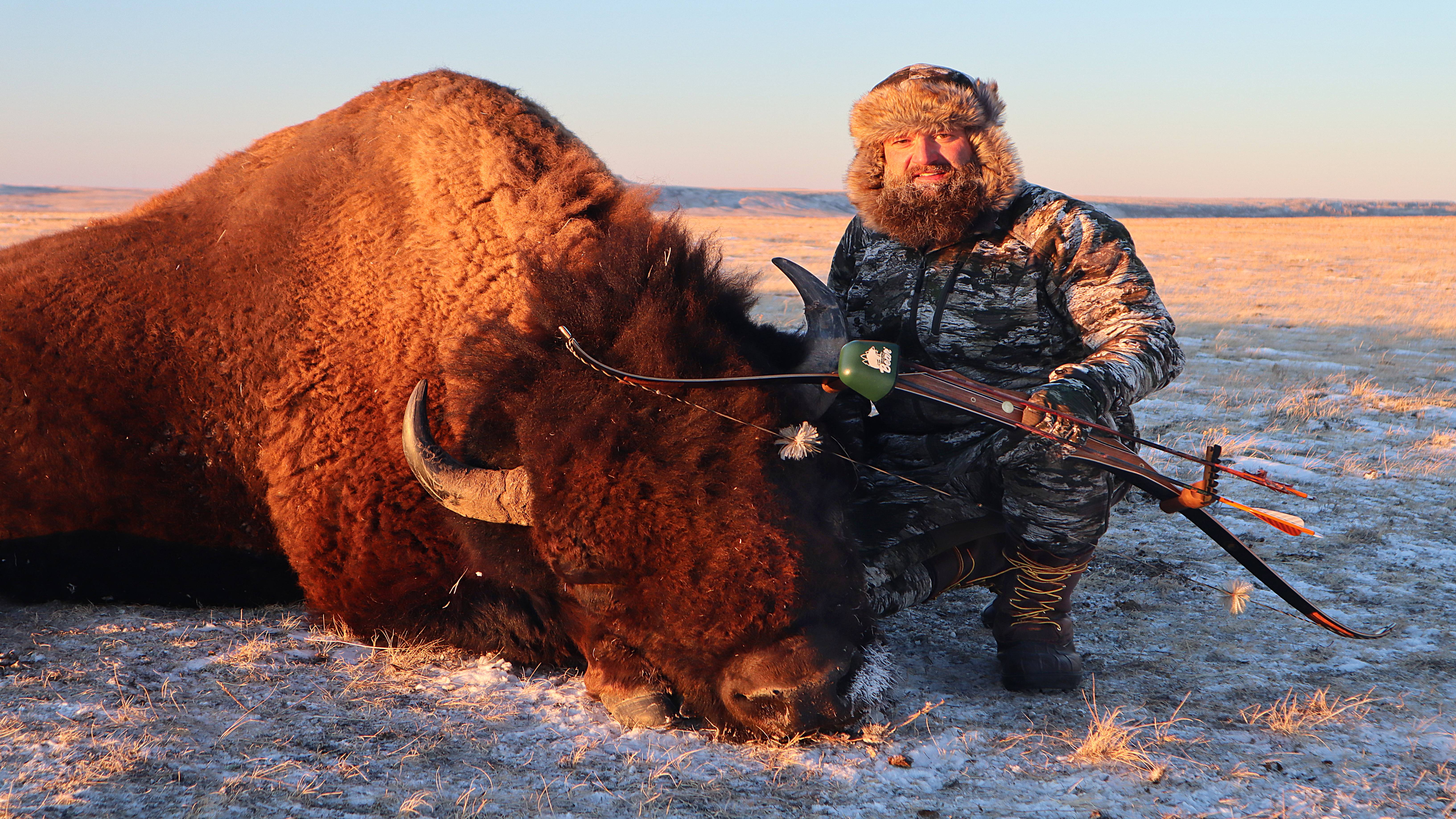 Super Kodiak Recurve Bow used to Harvest Bison